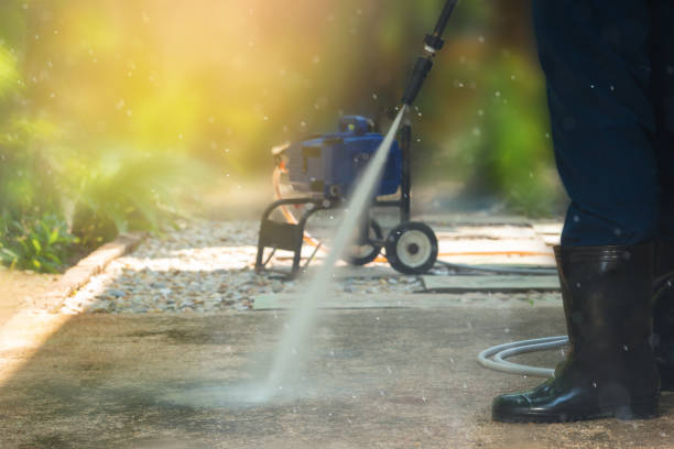 Best Roof Cleaning and Mildew Removal in Mount Vernon, IN